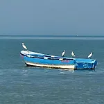 Hotel Porto Horizonte 1426